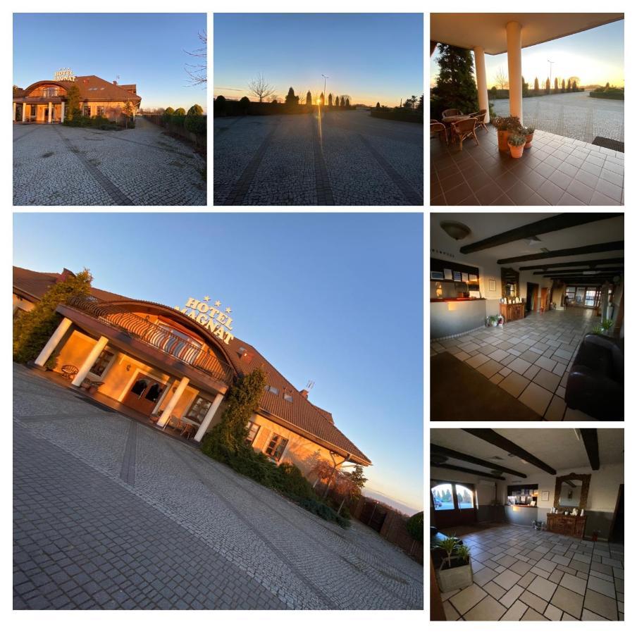 Słupca Hotel Magnat מראה חיצוני תמונה